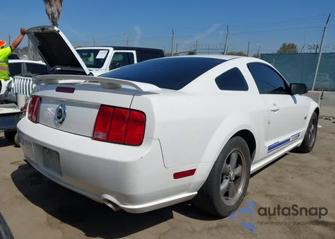 2005 Ford Mustang Gt Deluxe/Gt Premium z USA, uszkodzony, nr VIN 1ZVHT82H055248252